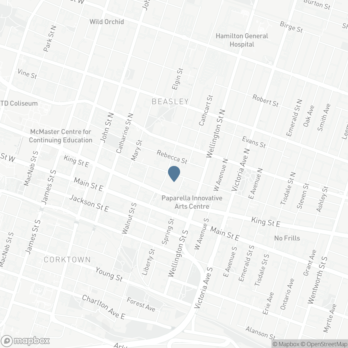 212 KING WILLIAM Street Unit# 515, Hamilton, Ontario L8R 0A7
